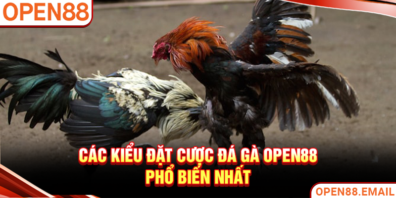 Các kiểu đặt cược đá gà OPEN88 phổ biến nhất