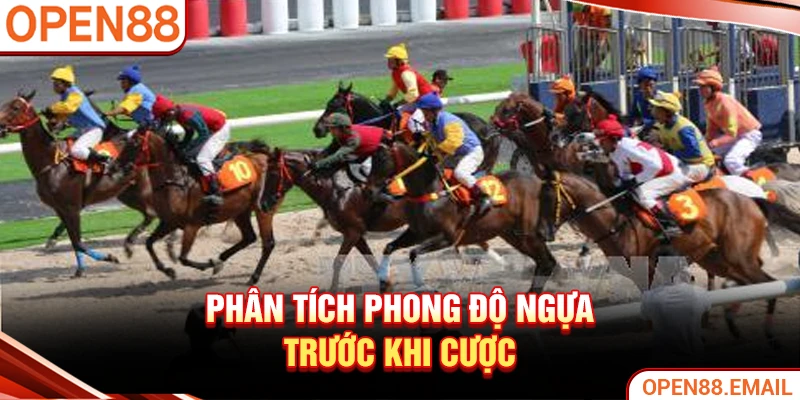 Phân tích phong độ ngựa chiến trước khi cược